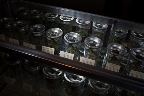 marijuana
