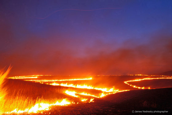 prairieburning prairieburning