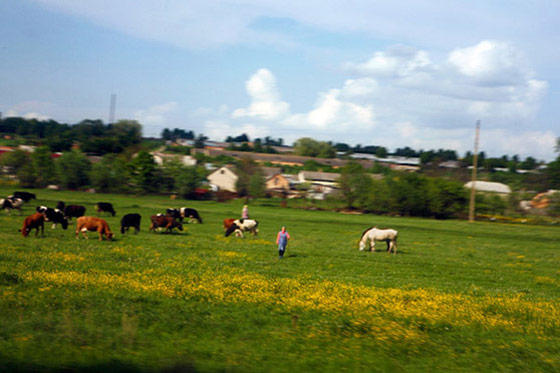 DannyGhitis-Poland