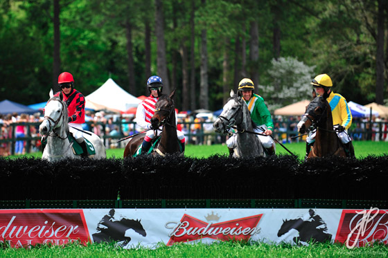 jump racing jump racing