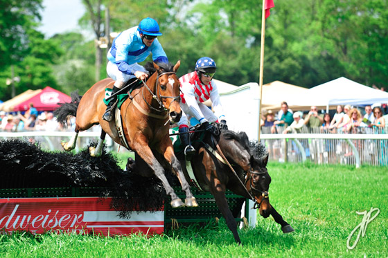 jump racing jump racing