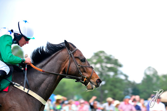 jump racing