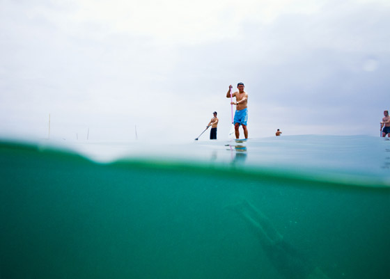 LeMonde Sea