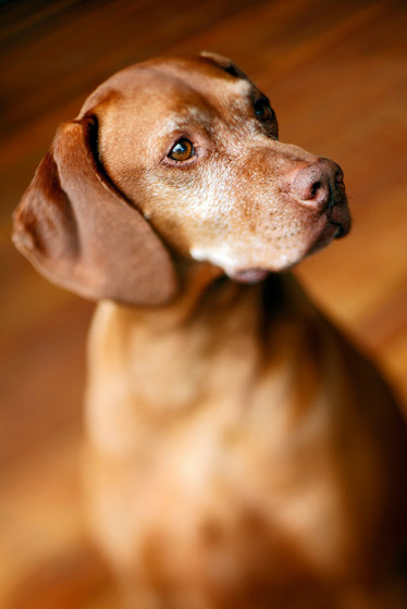 Lensbaby Lensbaby