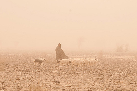 Konarestan