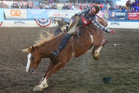 Reno rodeo
