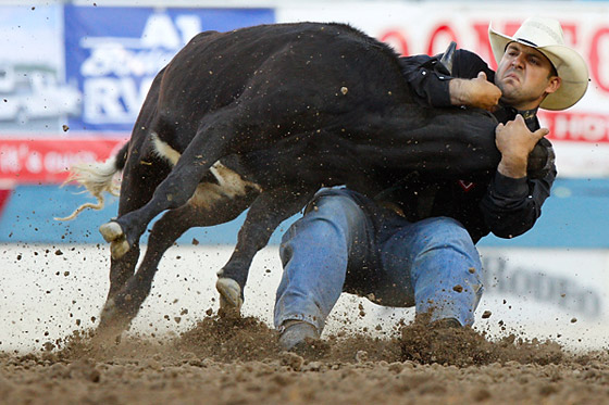 Reno rodeo