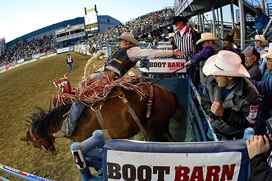 Reno rodeo