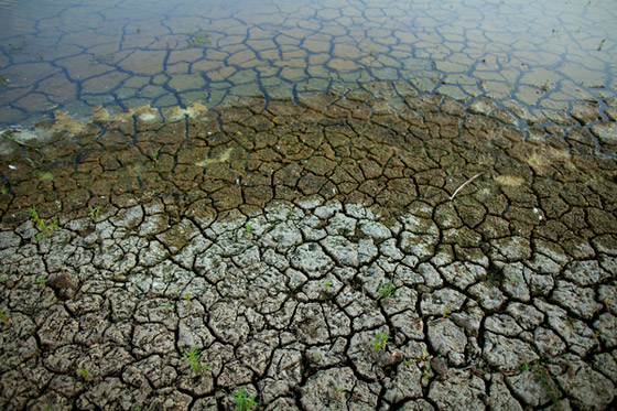 Indiana Drought