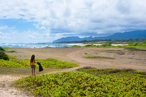 Beach Cleanup