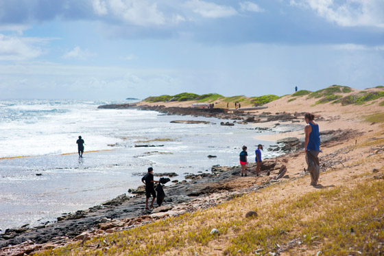 Beach Cleanup