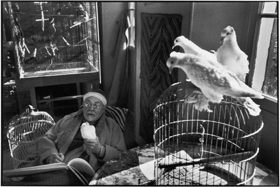Henri-Matisse at his home villa