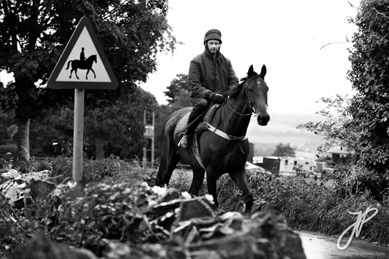 horse