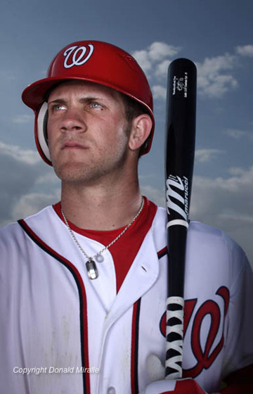 bryce harper