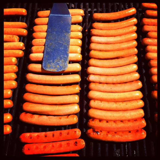 hot dogs