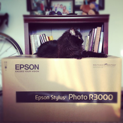 epson stylus photo r3000 rebate