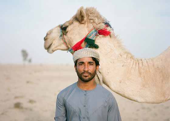 Dubai Camel Farm
