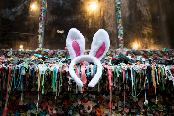 BunnyCon Seattle