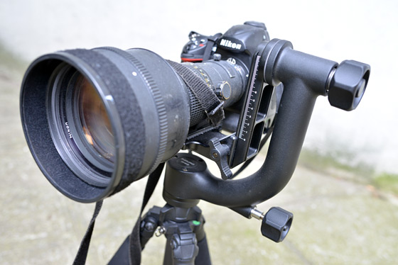 Induro Ct114 Carbon Fiber Tripod Ghb2 Gimbal Head Review By C S Muncy The Photo Brigade