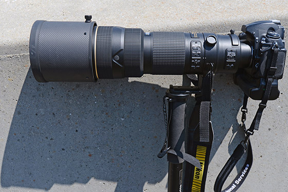 Nikon 200-400mm f/4 VR II Review - by Nic - The Photo Brigade