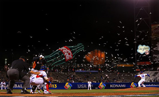 2014 World Series: Game 1 - by Brad Mangin - The Photo Brigade
